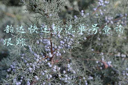 韵达快运物流单号查询跟踪