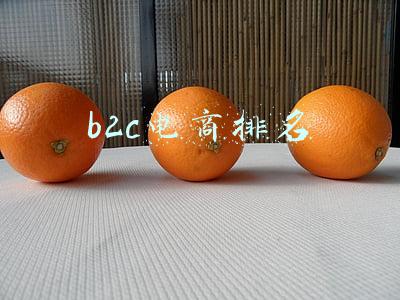 b2c电商排名