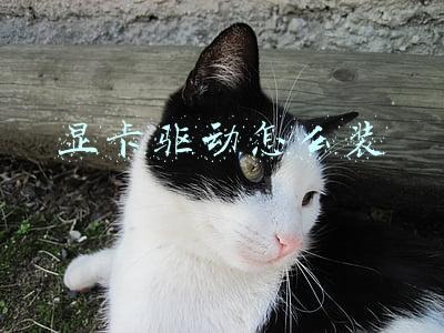 显卡驱动怎么装