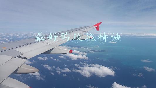 最好的玫瑰精油