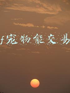 dnf宠物能交易吗