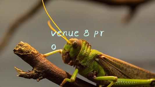 venue 8 pro