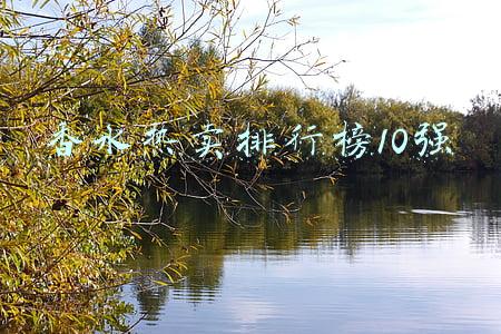 热门香水排行榜前十名(16支热门香水测评｜哪一瓶是你心中的yyds?)