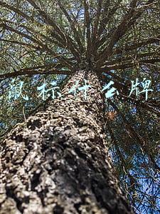 无线鼠标什么牌子好