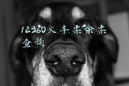 12360火车票余票查询泰安至枣庄西时刻表(注意！要去这个方向的泰安人看过来！加开的这趟高铁有大量余票！)