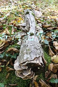 梦幻西游元宵节任务
