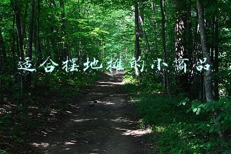 适合摆地摊的小商品