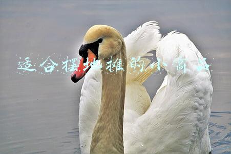适合摆地摊的小商品