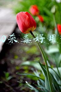 360杀毒(三六零安全专利公开：涉及勒索病毒防护、智能汽车安全等领域)