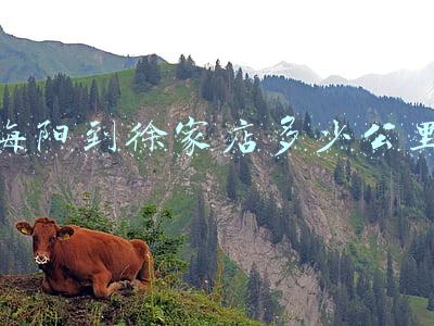 海阳到徐家店的客车时间_海阳到徐家店汽车站时刻表