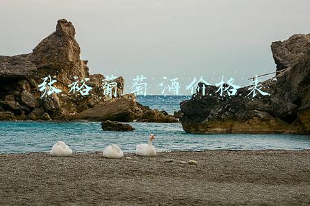 张裕葡萄酒价格表图片(出海记｜英媒：张裕向英国乐购超市出口葡萄酒 售价7英镑)