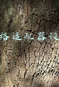 网络适配器设置