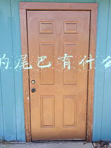 袋鼠的尾巴有什么作用(保暖、当板凳、传递信息、警告迷惑……动物尾巴功能大展示)