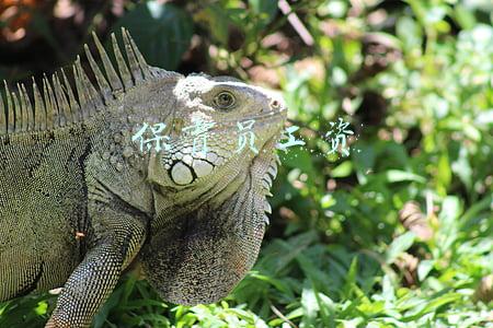 保育员工资多少一个月(孩子上幼儿园，宝妈当保育员，月薪2000坚持3年值不值？)