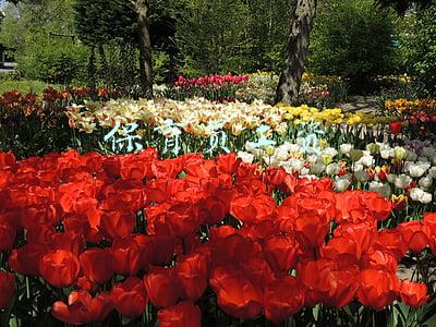 保育员工资一般多少钱一个月(母亲去孩子幼儿园当保育员，以为能兼顾工作和家庭，没多久后悔了)