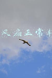 cpu风扇转速调到最大有什么影响(散热风扇的扇叶对风扇性能有什么影响)