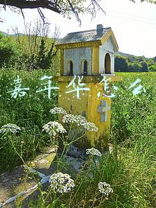 新嘉年华怎么样