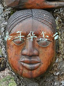 新嘉年华 2019款(新车 | 直面本田飞度，曝福特新款嘉年华谍照，或换福克斯同款前脸)