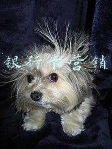 银行卡营销