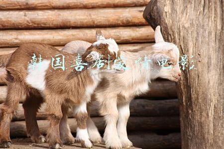 韩国喜剧爱情电影