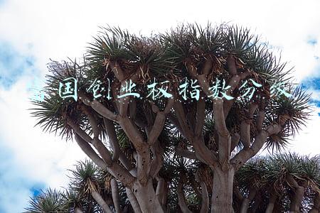 161022富国创业板指数分级(富国创业板A(150152))