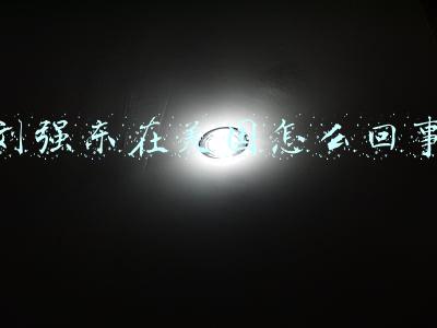刘强东在美国怎么回事