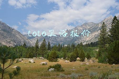 toto卫浴报价