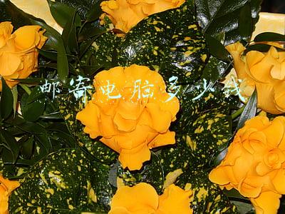 邮寄电脑多少钱