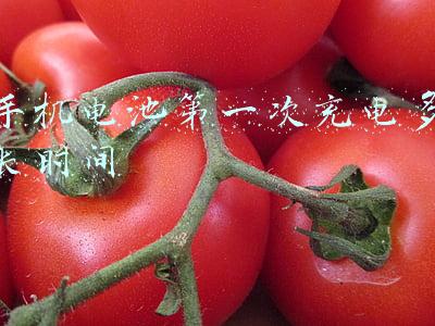 手机电池第一次充电多长时间