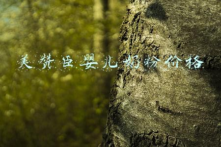 美赞臣婴儿奶粉(成就宝宝营养大满贯，认准进口奶粉前十名的美赞臣蓝臻)