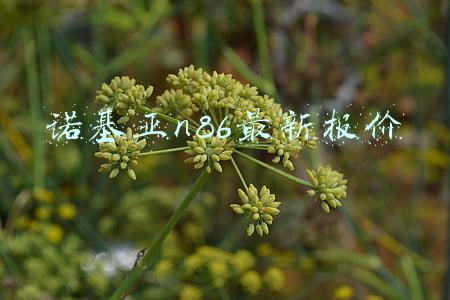 诺基亚n86机型图片(诺基亚第一款支持可调光圈和机械快门的手机——N86)