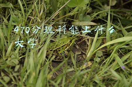 河南高考470分理科能上什么大学(河南理科400-470分:选公办高收费类,偏远公办本科,还是读民办?)