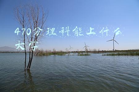 470分理科能上什么大学