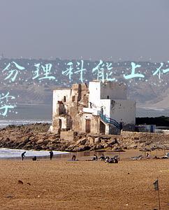 470分理科能上什么大学