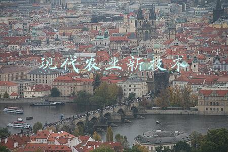 现代农业新技术的访谈记录(“涌泉”相报刷屏背后：浙江一位植物医生为什么20年研究柑橘)