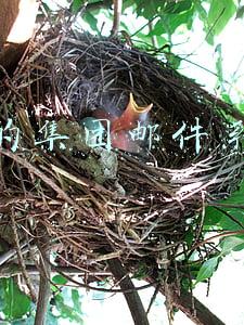 美的集团邮件系统登录(邮件专家 盈世首推汽车业专属企业邮箱)