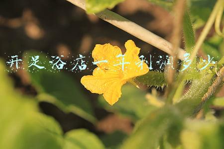 开足浴店一年利润多少（足浴店利润如何）