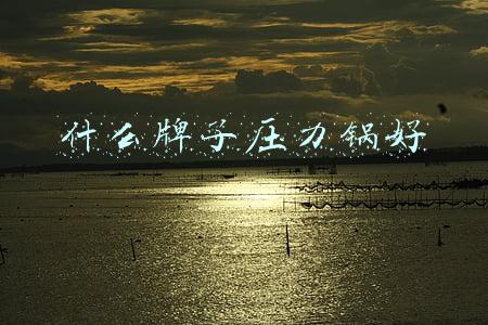 什么牌子压力锅好