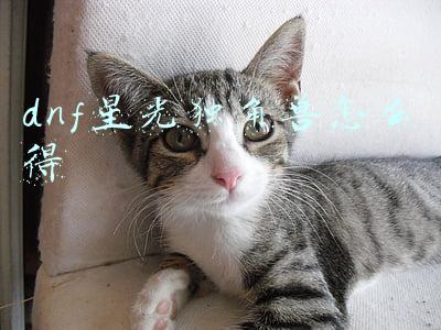 dnf星光独角兽怎么得