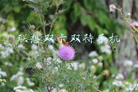 双卡双待双通手机(“双卡双待”手机知识)