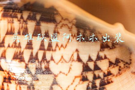英雄联盟阿木木壁纸(《司藤》勇夺全网热度第一，曾被定为A级项目，逆袭全靠这三点)