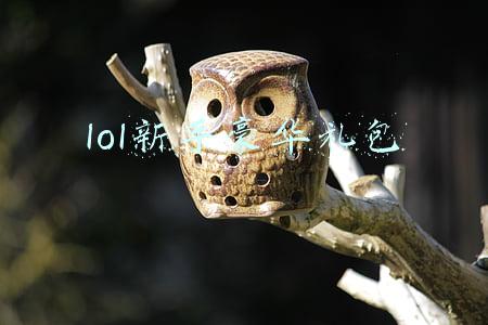 lol新手豪华礼包 lol新手豪华礼包