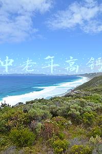 伊利中老年高钙奶粉含糖吗(0蔗糖≠无糖！12款奶酪棒比较试验，涉及妙可蓝多、伊利、蒙牛等)