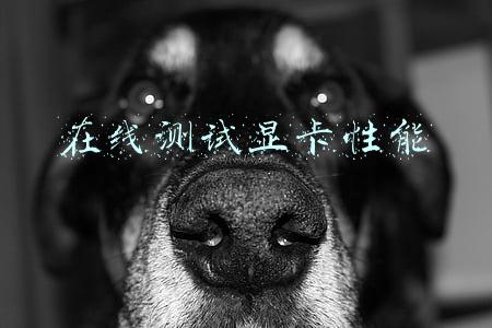 在线测试显卡性能