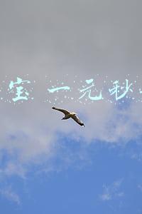 淘宝一元秒杀苹果手机是真的吗(大年三十晚淘宝抢购半价苹果手机---这样的?)