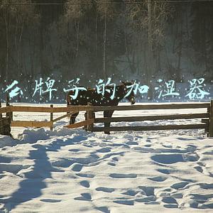 什么牌子的加湿器好用又实惠(7款性价比超高的加湿器，皮肤不再干到裂)