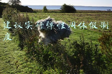 完善休假制度的建议(长假余额不足！拒绝春节综合征，做到这几点轻松回归日常节奏)