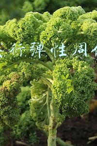 弹性卡盘数控车床(车床弹簧夹头怎么用？)