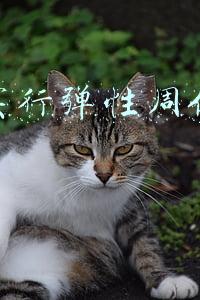 四氟弹性垫片(常用工业阀门、法兰及垫片基础知识)