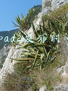 ipad2发行时间(我是果粉从iPad2到iPhoneX，初见时热爱便已注定)